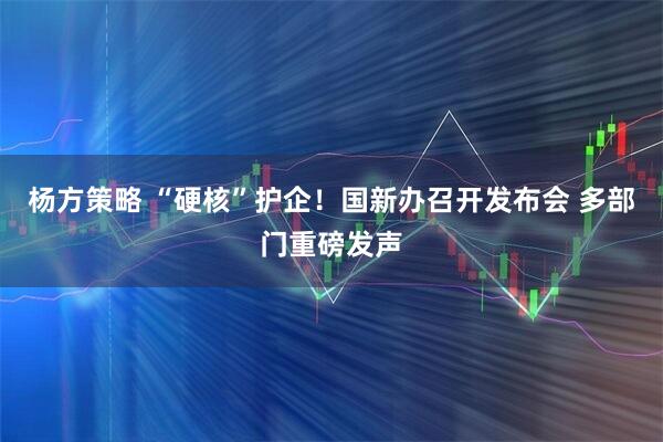 杨方策略 “硬核”护企！国新办召开发布会 多部门重磅发声