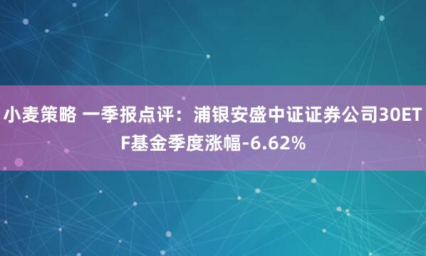 小麦策略 一季报点评：浦银安盛中证证券公司30ETF基金季度涨幅-6.62%
