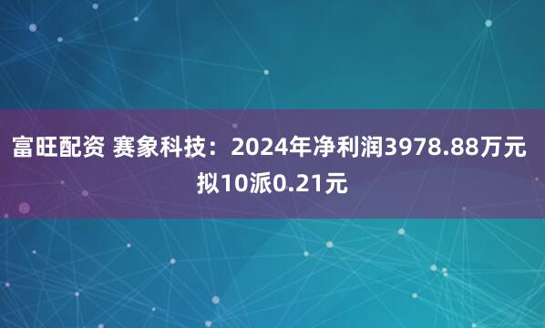 富旺配资 赛象科技：2024年净利润3978.88万元 拟10派0.21元