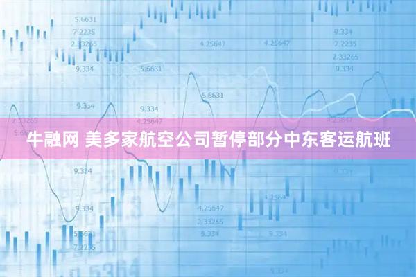 牛融网 美多家航空公司暂停部分中东客运航班