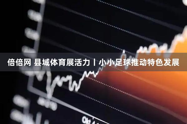 倍倍网 县域体育展活力丨小小足球推动特色发展