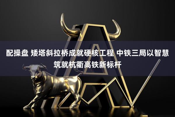 配操盘 矮塔斜拉桥成就硬核工程 中铁三局以智慧筑就杭衢高铁新标杆