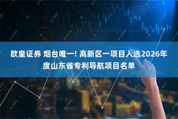 欧皇证券 烟台唯一! 高新区一项目入选2026年度山东省专利导航项目名单