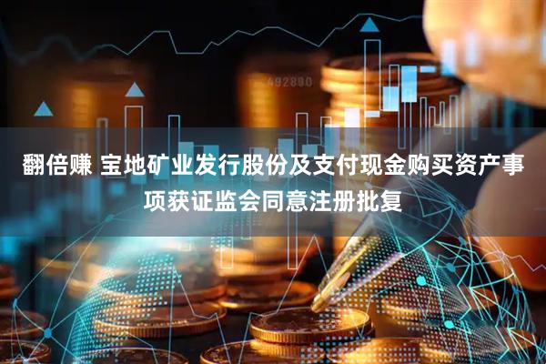 翻倍赚 宝地矿业发行股份及支付现金购买资产事项获证监会同意注册批复