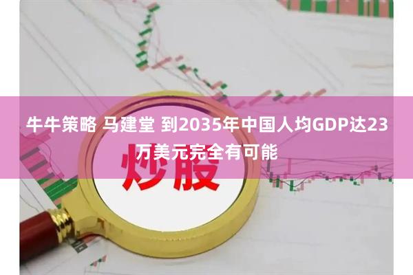 牛牛策略 马建堂 到2035年中国人均GDP达23万美元完全有可能