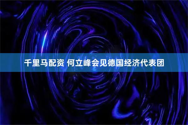 千里马配资 何立峰会见德国经济代表团