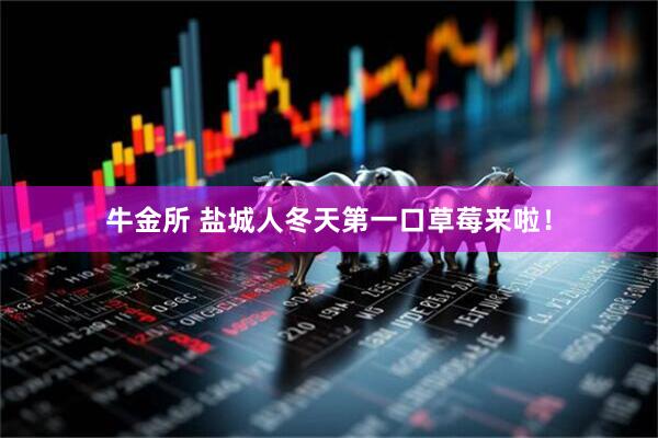 牛金所 盐城人冬天第一口草莓来啦！